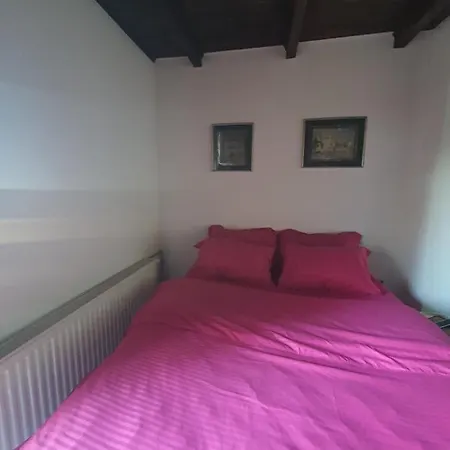 Brvnara Chalet The Best View