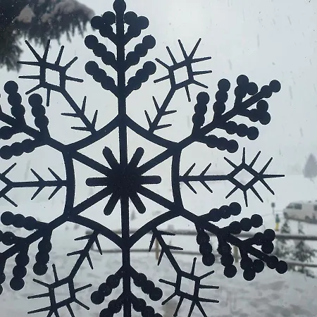 The View ヴラシチ