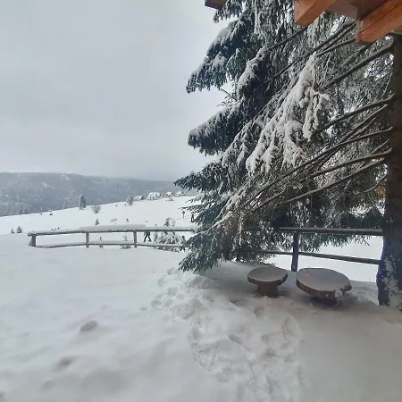 Chalet The Best View Vlasic