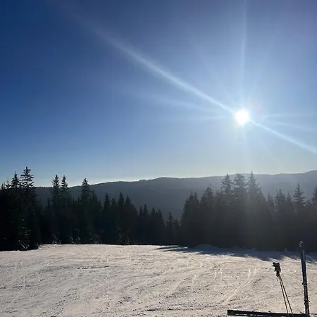 Chalet The View