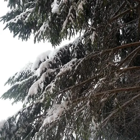 Chalet The Best View Brvnara *
