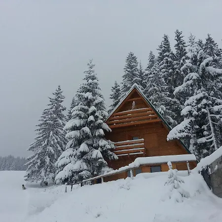 Chalet The Best View Brvnara Vlasic