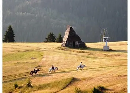 Brvnara Chalet The Best View