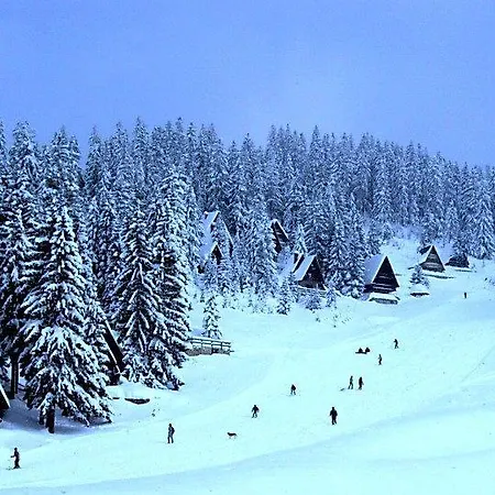 Brvnara Chalet The Best View *