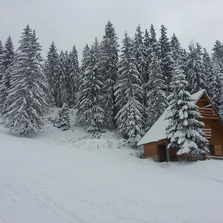 Brvnara Chalet The Best View