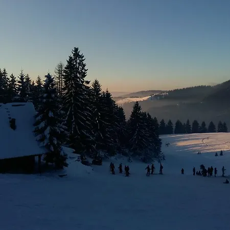 Brvnara Chalet The Best View Vlasic