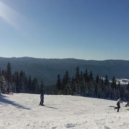 Brvnara Chalet The Best View Vlasic