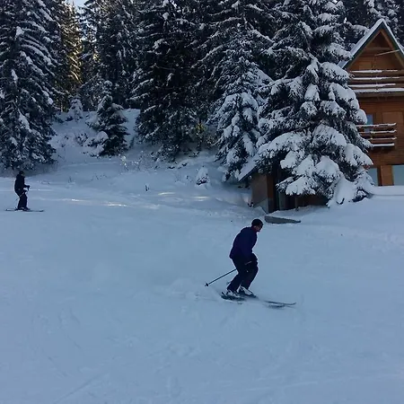 Brvnara Chalet The Best View