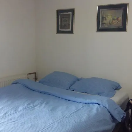 シャレー The View