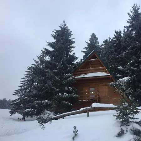 Chalet The Best View Vlasic